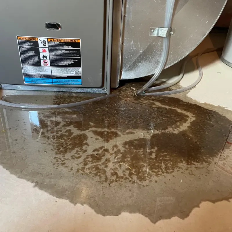 Appliance Leak Cleanup in Mineral Ridge, OH